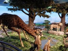 -国家自然博物馆