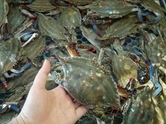 -孙家码头海鲜自助美食城