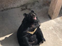 -大连森林动物园