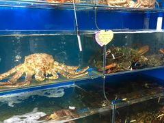 -蚝专家(北滘店)