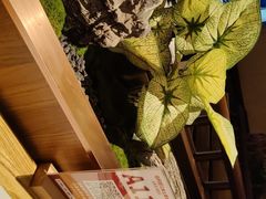 -老阿爸鲜鱼土菜(独墅湖店)