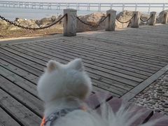 -黑石礁公园