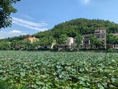 -红山村