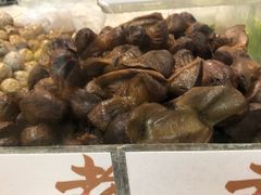 -上海老天禄