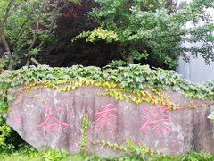 -四明山国家森林公园