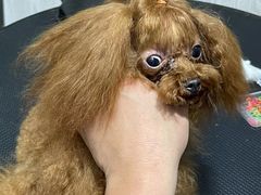 -宠颐生动物医院·小陆分院