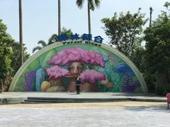 -美的鹭湖探索王国