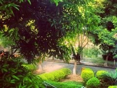 走道-广东科技学院(南城校区)