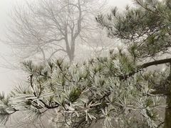 -大明山自然探索公园
