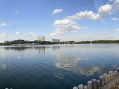 -大兴滨河森林公园