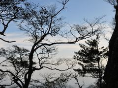 -洛阳白云山景区