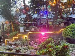 -山菌美食苑(振兴路店)