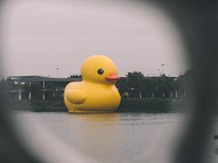 -深圳人才公园