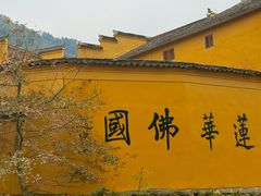 -九华山风景区