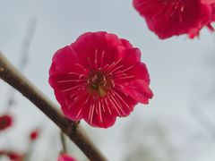 -宣武艺园