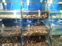 水产区-雅逸居海鲜小厨