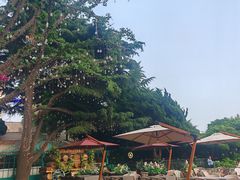 -中山路壹号传奇club·啤酒花园餐厅