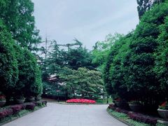 -上海虹桥迎宾馆