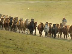 -希拉穆仁草原
