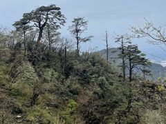 -峨眉山风景名胜区