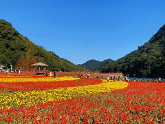 -广州市石门国家森林公园