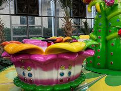 -南宫五洲植物乐园