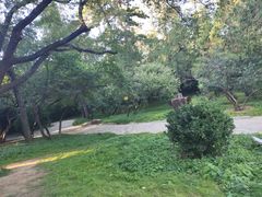 -香山公园-东宫门售票处