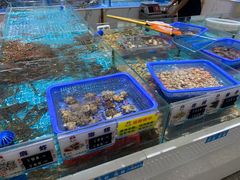 -皮记海鲜1995(寮步店)