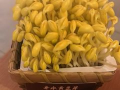 井水黄豆芽-巴奴毛肚火锅(二七万达店)