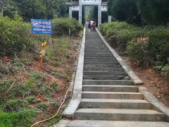 -江西阳明山国家森林公园