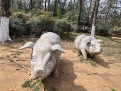 -艾山风景名胜区