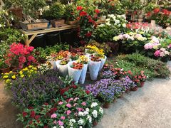 -双季花艺园艺市场(浦东店)