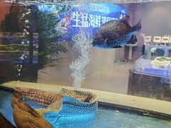 -海都六福酒家(世博广场店)