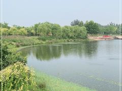 -东郊湿地公园