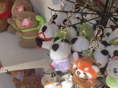 -泉州海丝野生动物世界