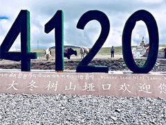 -大冬树山垭口