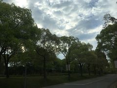 -东方绿舟景区