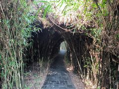 -沙家浜风景区