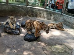 -昆明动物园