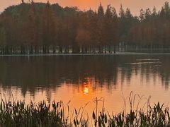 -白鹭湾湿地公园