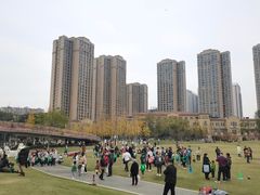 -府河摄影公园
