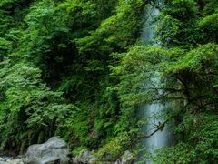 -西岭雪山大飞水景区