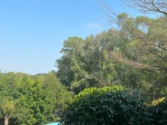 -福建鲤鱼洲酒店