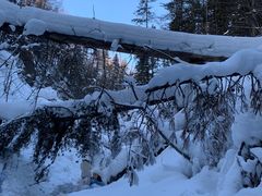 -峡谷浮石林景区