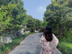 -南汇桃花村