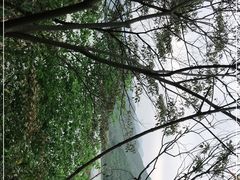 -羚羊峡古栈道森林公园