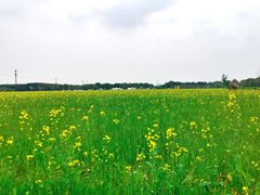 -嘉北郊野公园