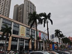 -椰小调.儋州米烂(名门店)