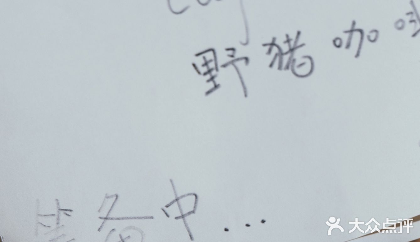 Nobuta咖啡｜市中心的宁静｜惬意极了
