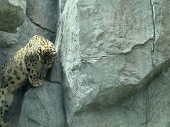 -青藏高原野生动物园
